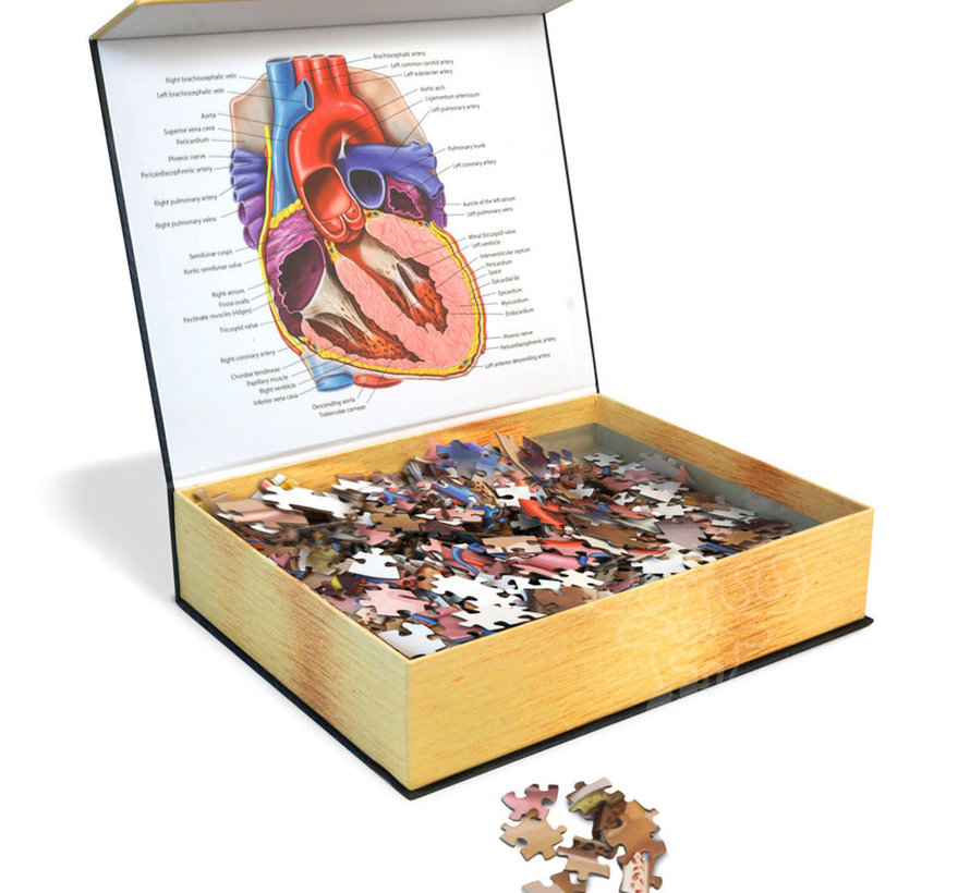 Dr. Livingston's Anatomy: The Human Heart Puzzle 597pcs