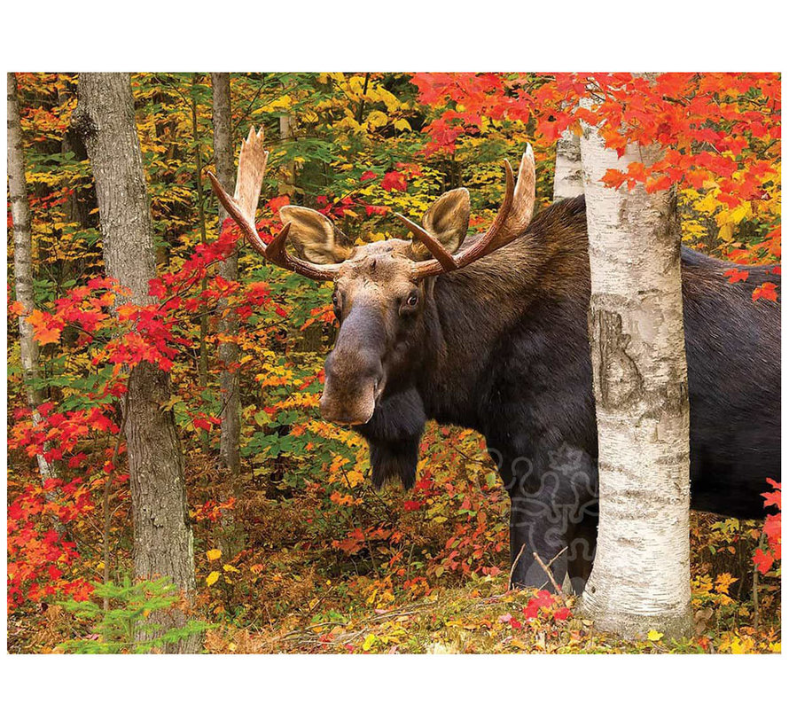 FINAL SALE White Mountain Autumn King Puzzle 500pcs