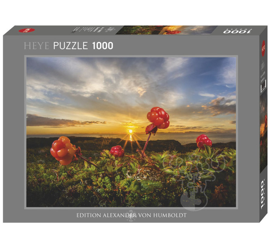 Heye Edition Alexander von Humboldt: Cloudberries Puzzle 1000pcs