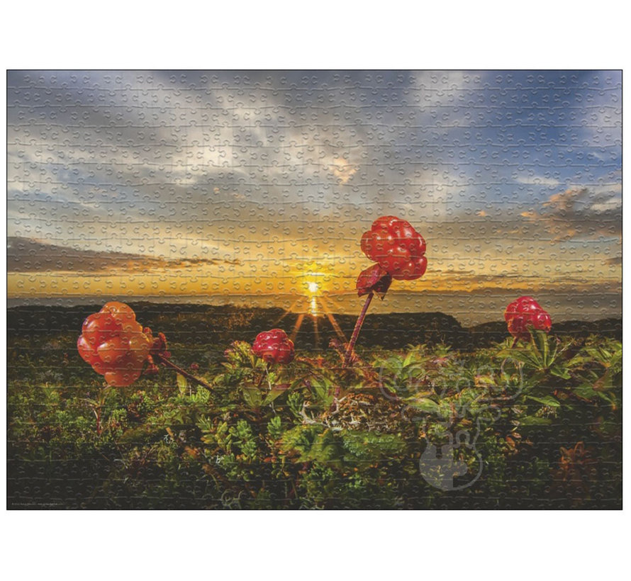Heye Edition Alexander von Humboldt: Cloudberries Puzzle 1000pcs