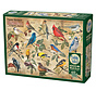 Cobble Hill Popular Backyard Wild Birds of North America Puzzle 1000pcs