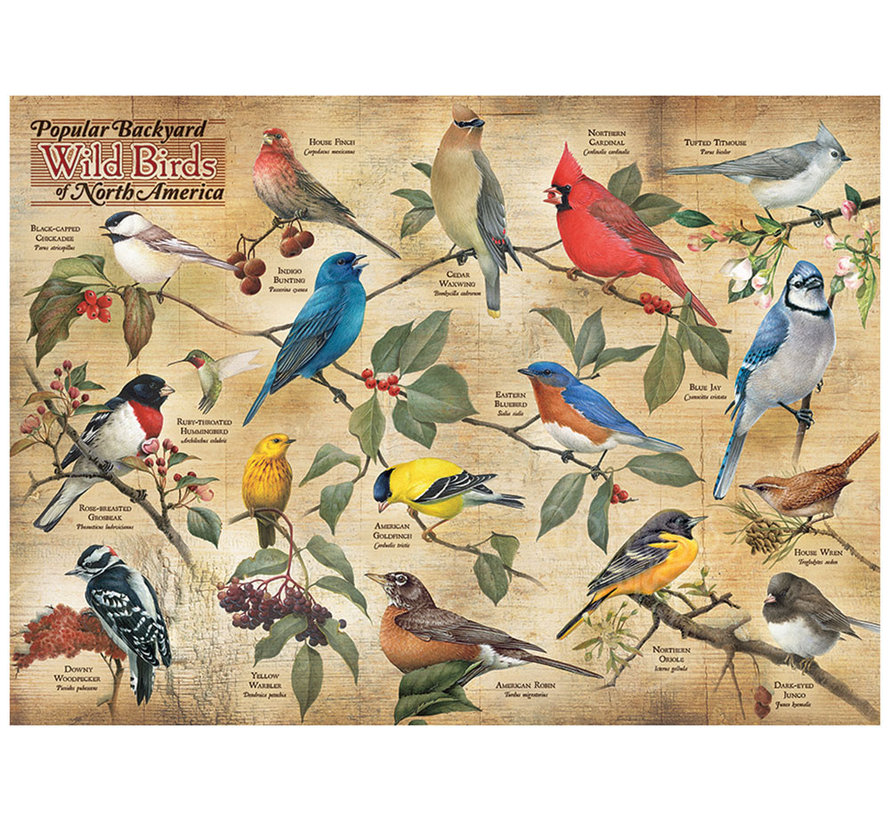 Cobble Hill Popular Backyard Wild Birds of North America Puzzle 1000pcs