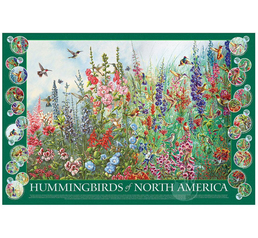 Cobble Hill Hummingbirds of North America Puzzle 2000pcs