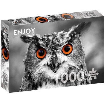ENJOY Puzzle Enjoy Curious Owl  Puzzle 1000pcs