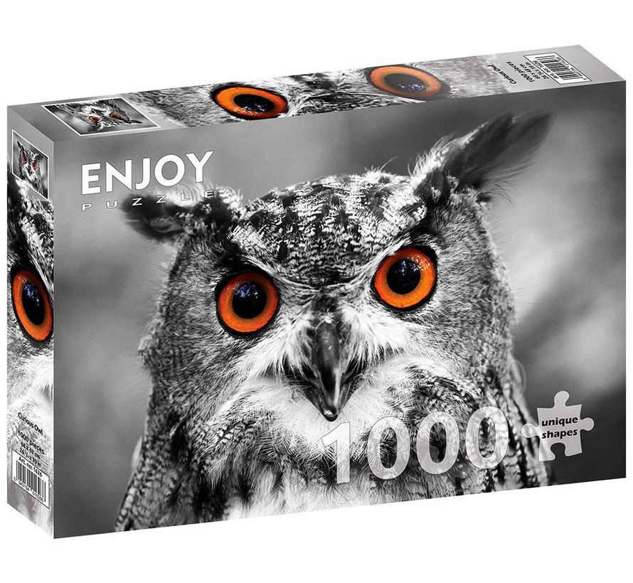 Enjoy Curious Owl  Puzzle 1000pcs