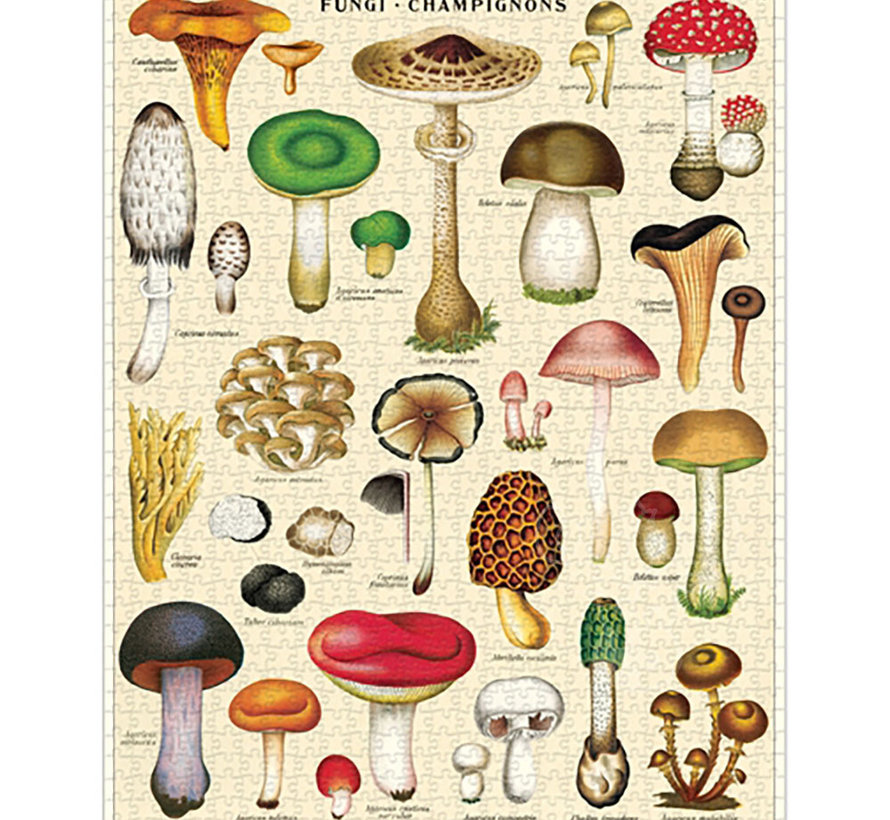 Cavallini Vintage: Mushroom Puzzle 1000pcs