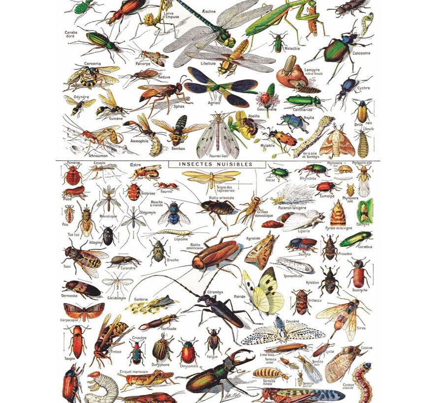 FINAL SALE New York Puzzle Co. Vintage Collection: Insects ~ Insectes Puzzle 1000pcs