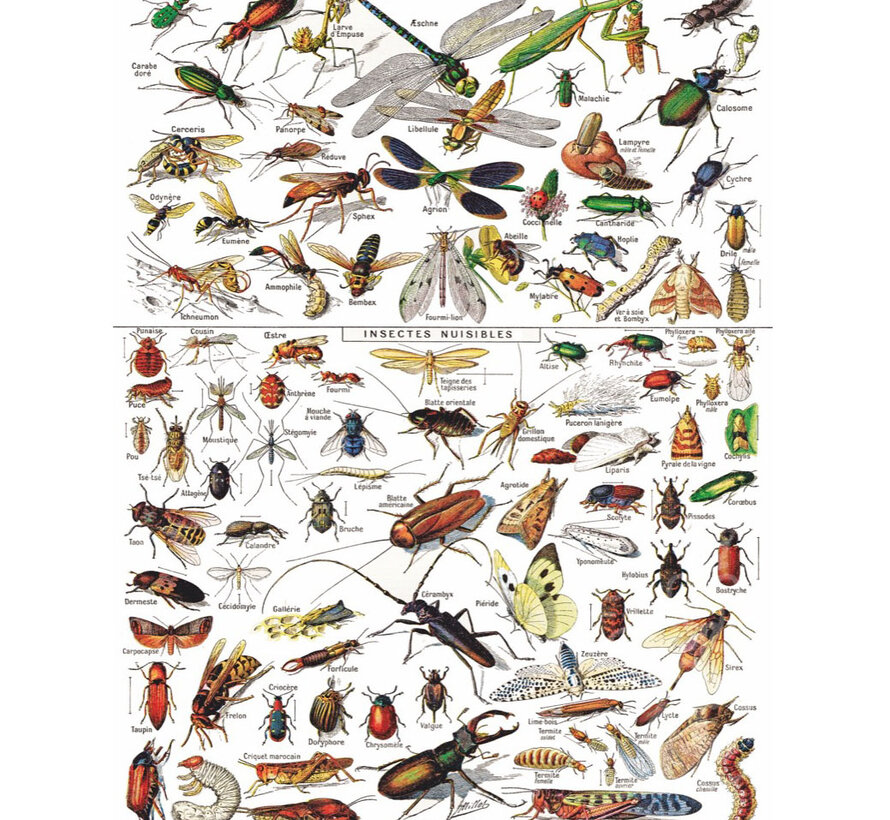New York Puzzle Co. Vintage Collection: Insects ~ Insectes Puzzle 1000pcs
