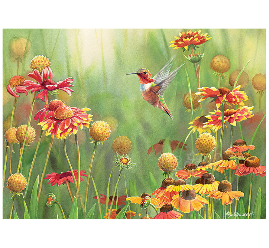 Cobble Hill Rufous Hummingbird Puzzle 500pcs