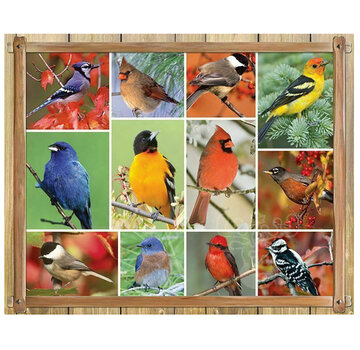 Springbok Springbok Songbirds Puzzle 100pcs