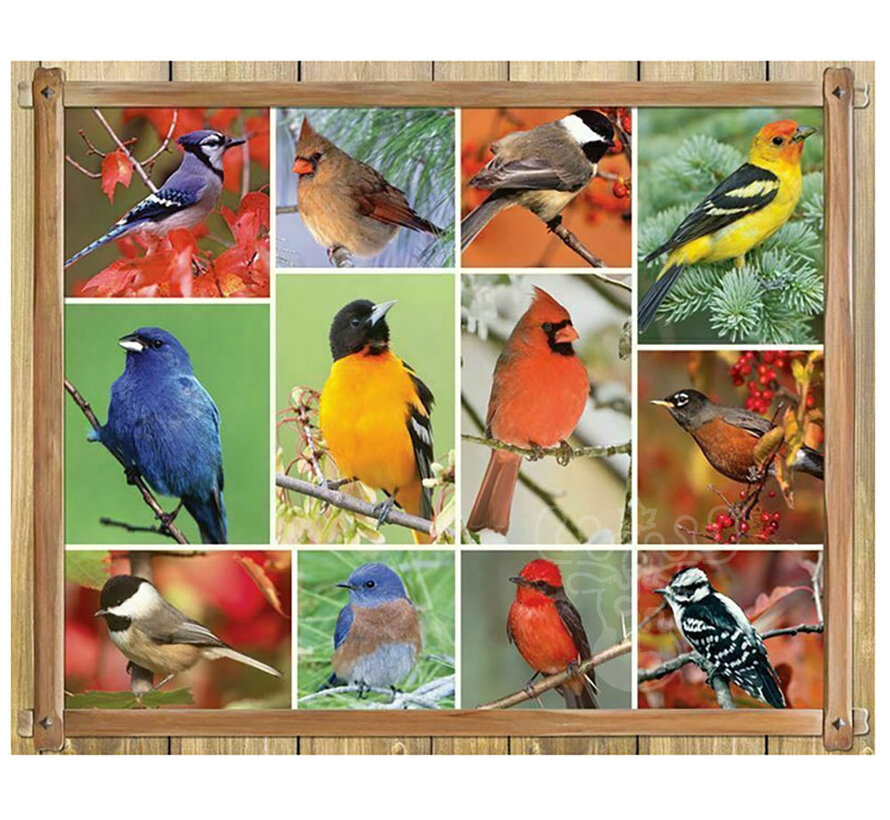 Springbok Songbirds Puzzle 100pcs
