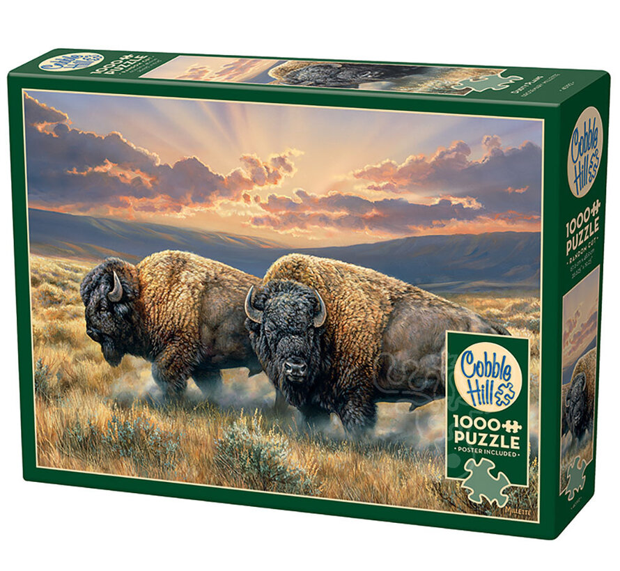 Cobble Hill Dusty Plains Puzzle 1000pcs