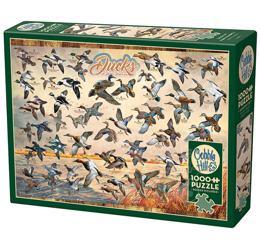 Cobble Hill Ducks of North America Puzzle 1000pcs