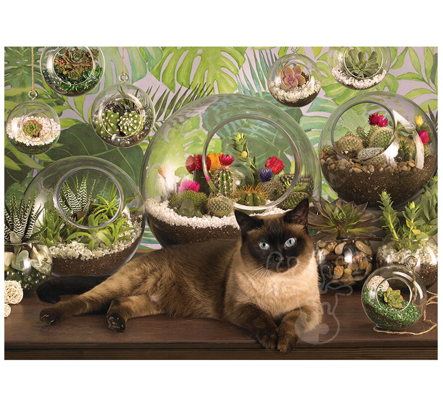 Cobble Hill Terrarium Cat Puzzle 1000pcs