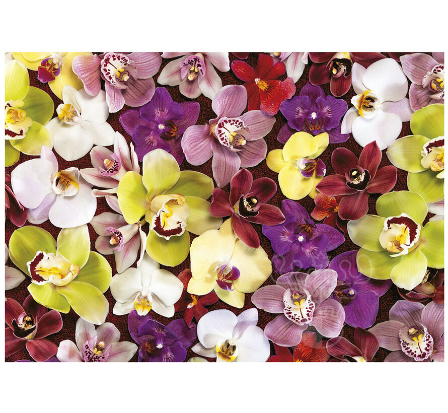 Educa Orchid Collage Puzzle 1000pcs