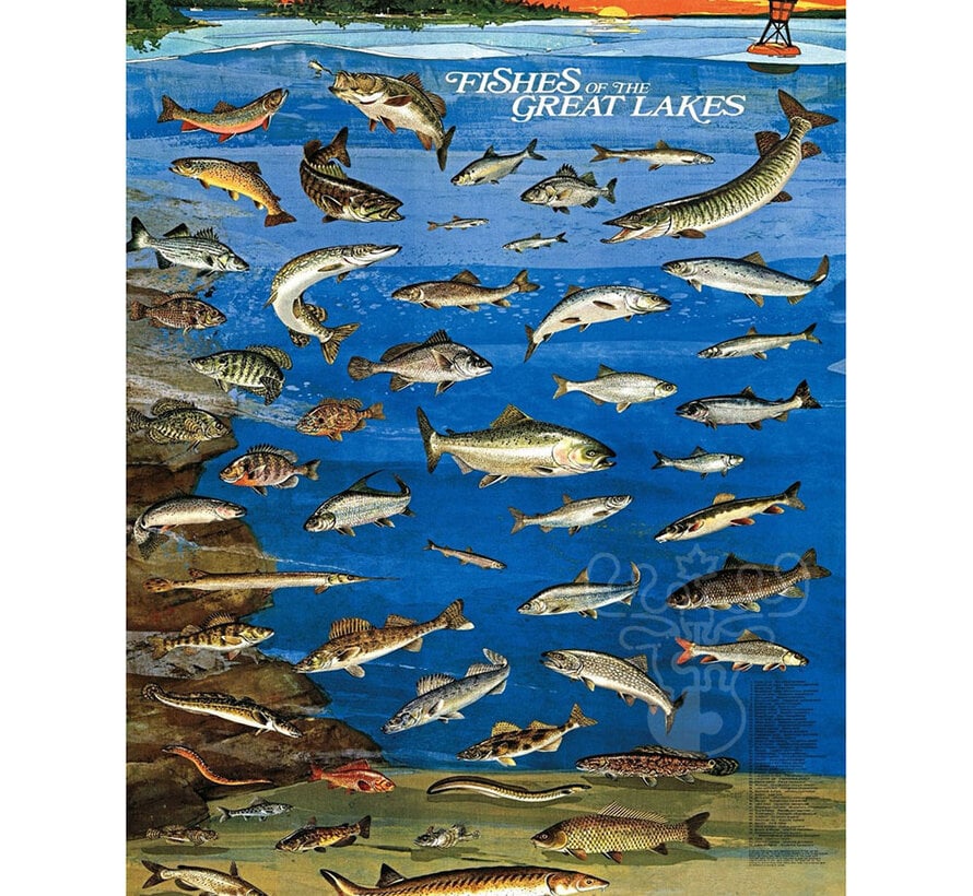 New York Puzzle Co. Vintage Collection: Fishes of the Great Lakes Puzzle 1000pcs