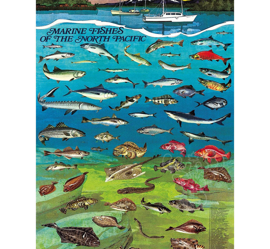 New York Puzzle Co. Vintage Collection: Fishes of the North Pacific Puzzle 1000pcs