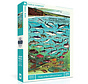 FINAL SALE New York Puzzle Co. Vintage Collection: Fishes of the California Current Puzzle 1000pcs