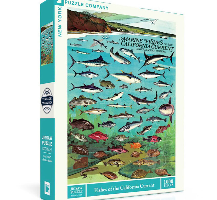 FINAL SALE New York Puzzle Co. Vintage Collection: Fishes of the California Current Puzzle 1000pcs