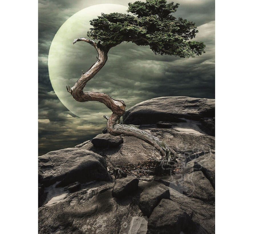 Nova Alone Puzzle 1500pcs ONLINE ORDER ONLY