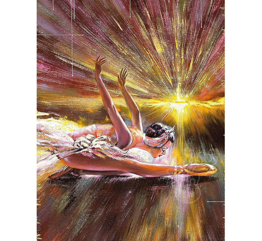 FINAL SALE Nova Ballerina Puzzle 1000pcs ONLINE ORDER ONLY