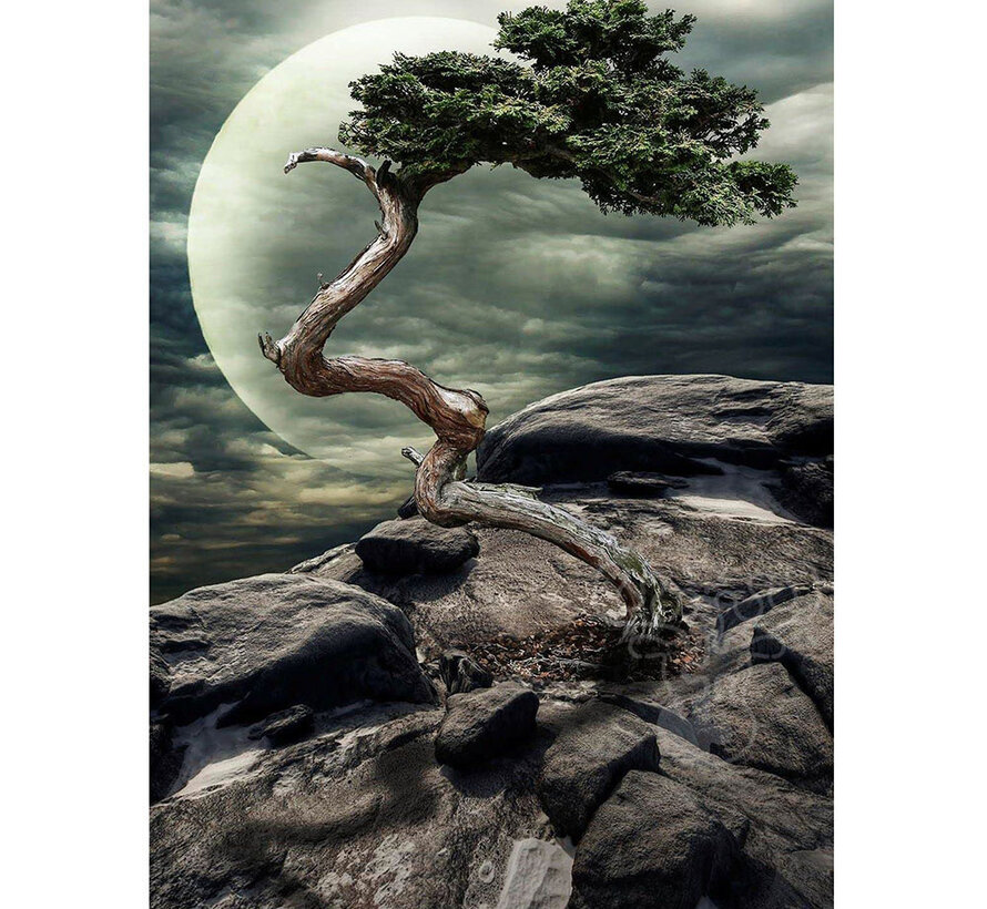 FINAL SALE Nova Nature's Miracle Puzzle 1000pcs ONLINE ORDER ONLY