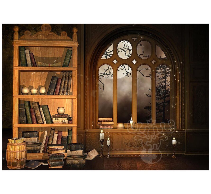 FINAL SALE Nova Sorcerer's Library Puzzle 1000pcs ONLINE ORDER ONLY