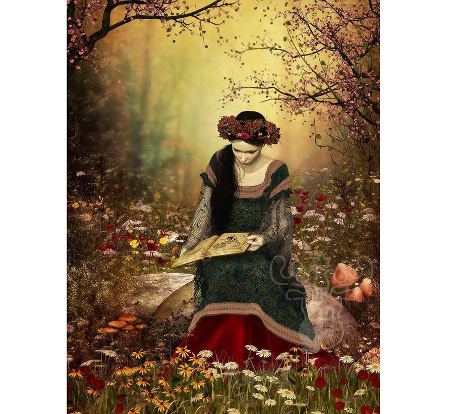 FINAL SALE Nova Woman Reading a Book Puzzle 1000pcs ONLINE ORDER ONLY