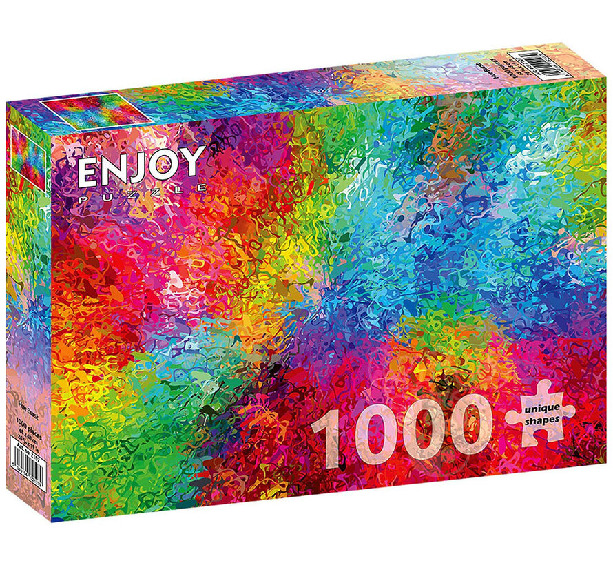 Enjoy Hue Burst Puzzle 1000pcs