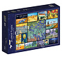 Bluebird Collage - Vincent Van Gogh Puzzle 4000pcs