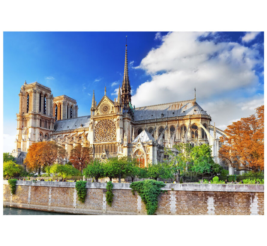 Bluebird Cathédrale Notre-Dame de Paris Puzzle 2000pcs