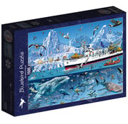 Bluebird Bluebird François Ruyer - Arctic Bluebird Boat Puzzle 1500pcs