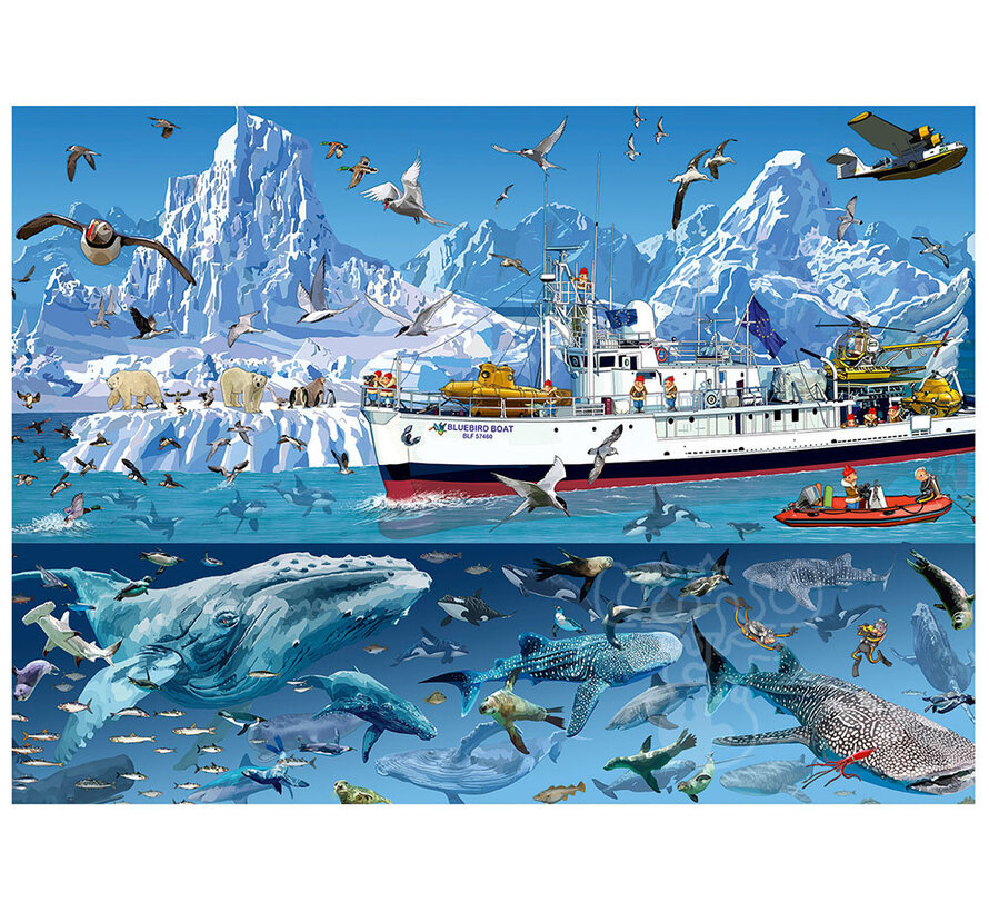 Bluebird François Ruyer - Arctic Bluebird Boat Puzzle 1500pcs