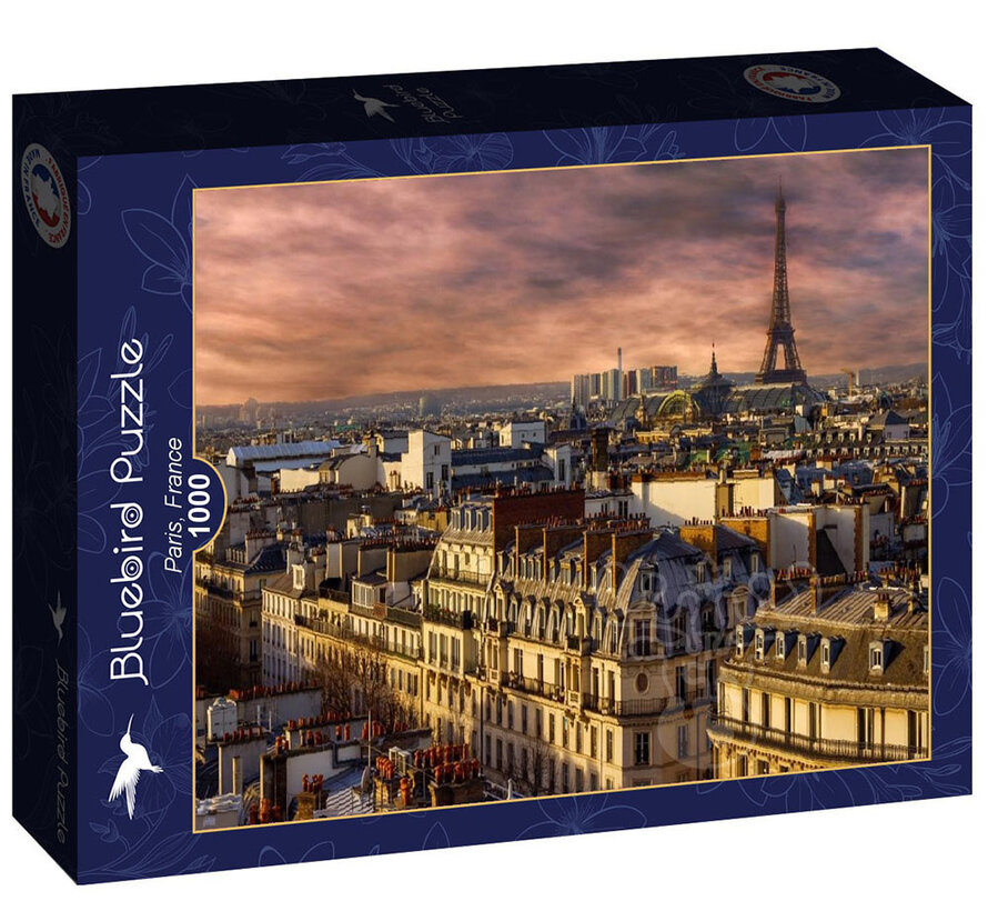 Bluebird Paris, France Puzzle 1000pcs RETIRED