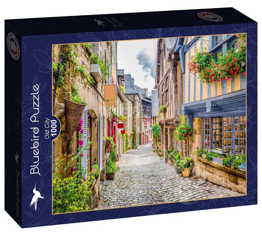 Bluebird Old City Puzzle 1000pcs RETIRED