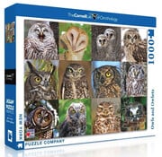 New York Puzzle Company New York Puzzle Co. Cornell Lab: Owls and Owlets Puzzle 1000pcs