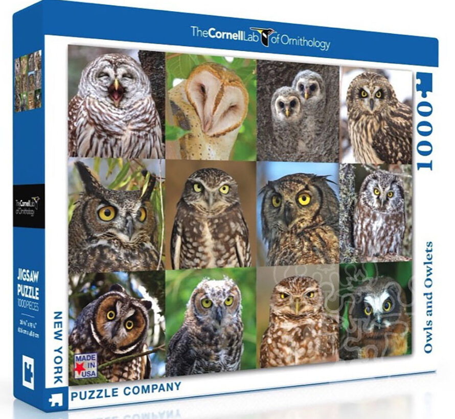 New York Puzzle Co. Cornell Lab: Owls and Owlets Puzzle 1000pcs