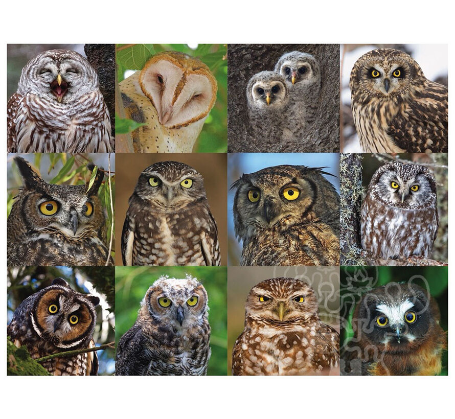 New York Puzzle Co. Cornell Lab: Owls and Owlets Puzzle 1000pcs