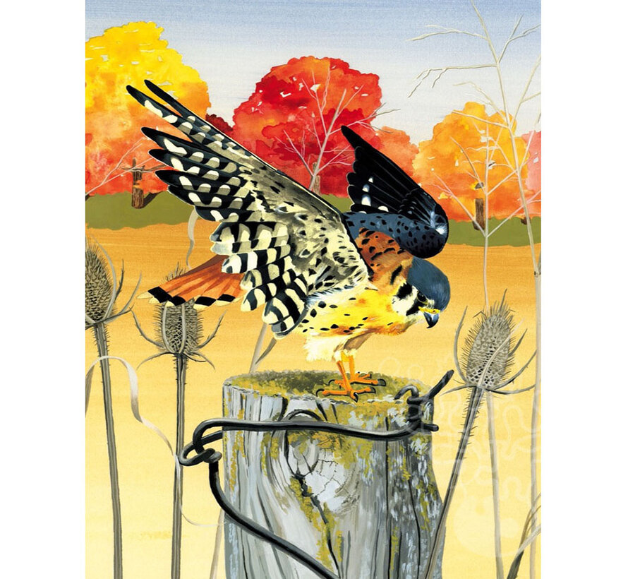FINAL SALE New York Puzzle Co. Cornell Lab: American Kestrel Puzzle 1000pcs