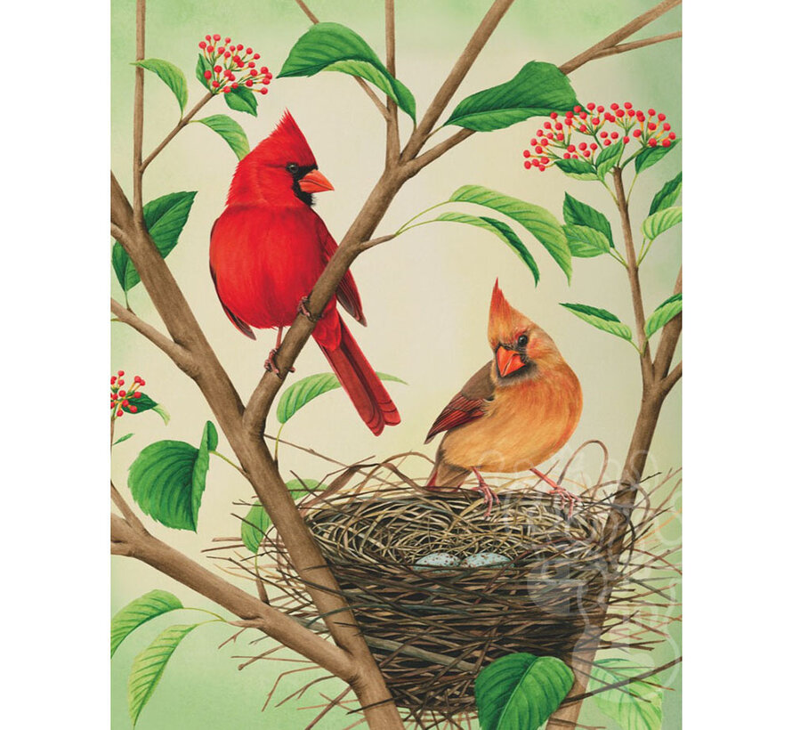 New York Puzzle Co. Cornell Lab: Northern Cardinals Puzzle 500pcs