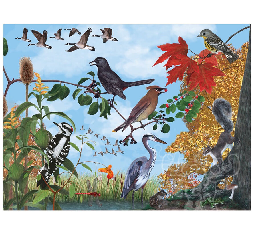 FINAL SALE New York Puzzle Co. Cornell Lab: Autumn Trail Puzzle 1000pcs