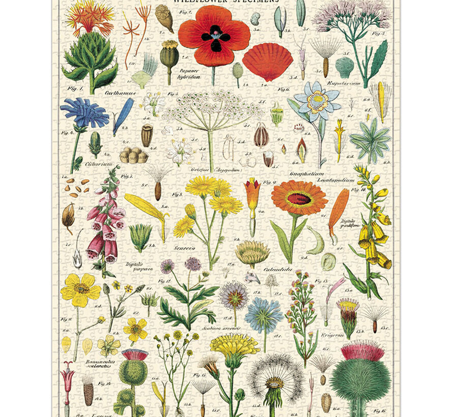 Cavallini Vintage: Wildflowers Puzzle 1000pcs