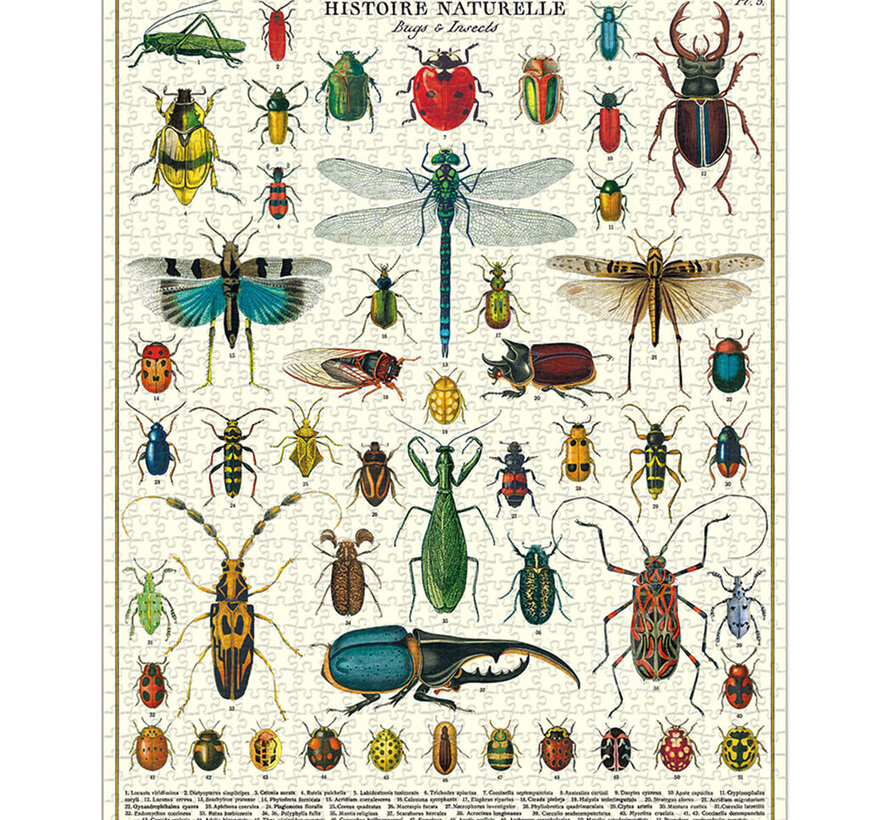 Cavallini Vintage: Bugs & Insects Puzzle 1000pcs