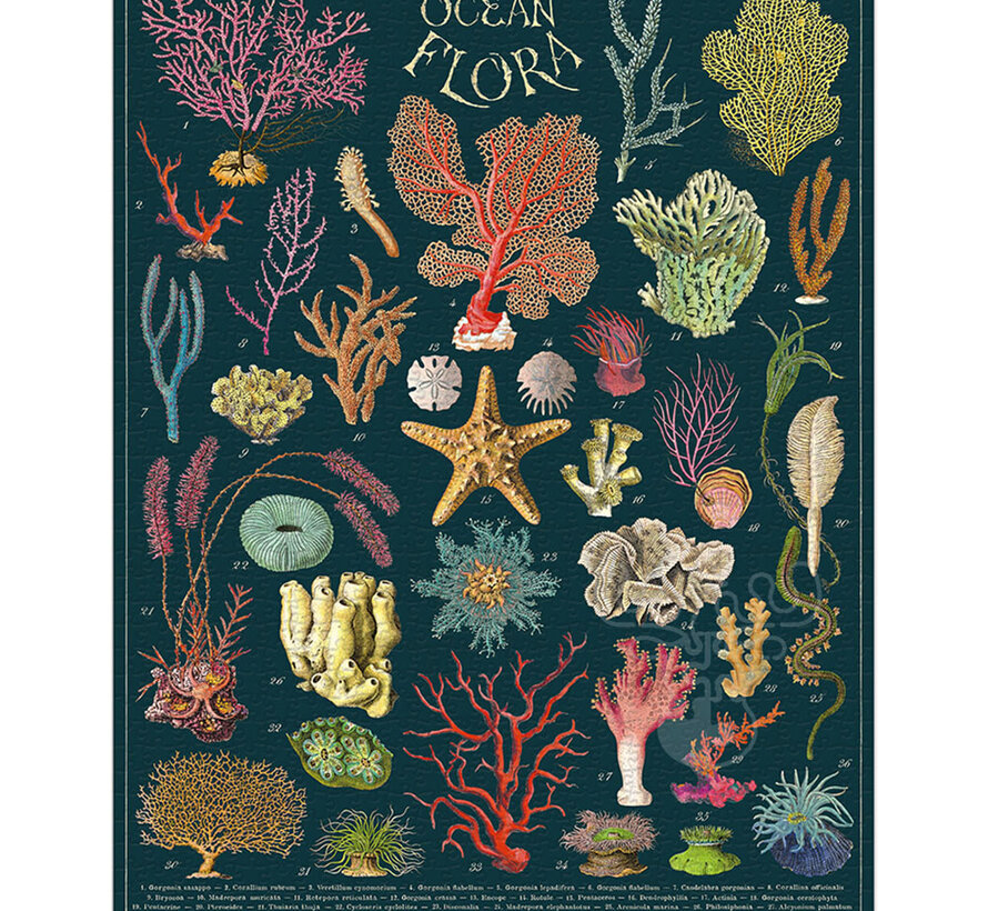 Cavallini Vintage: Ocean Flora Puzzle 1000pcs
