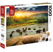 Pierre Belvedere FINAL SALE Pierre Belvedere Peaceful Elephants Puzzle 1000pcs