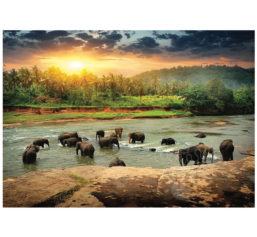 FINAL SALE Pierre Belvedere Peaceful Elephants Puzzle 1000pcs