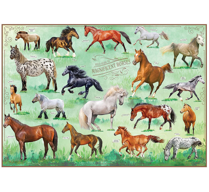 Insight Editions Field Guide to Magnificent Horses Puzzle 500pcs