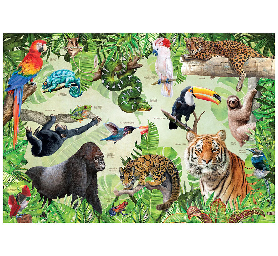 FINAL SALE Insight Editions Rainforest Animals Puzzle 500pcs