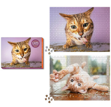 RP Studio FINAL SALE RP Studio Cats on Catnip 2-in-1 Double-Sided Puzzle 1000pcs