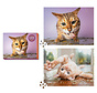 FINAL SALE RP Studio Cats on Catnip 2-in-1 Double-Sided Puzzle 1000pcs